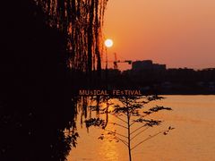 -羊山湖公园