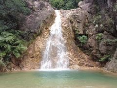 -南海湾森林生态园