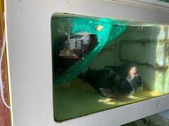 -南蚝小贝海鲜特色餐厅(南澳岛店)