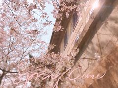 -武汉大学-樱园