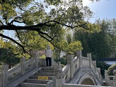 -安亭老街