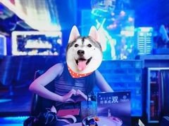 -Darling Queen·Mini·Live·House
