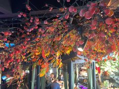 -東大方(武康千秋广场店)