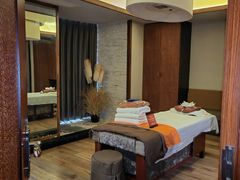 -端艾堂·SPA·艾灸(棕榈泉013店)