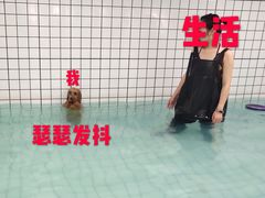-柚子宠物(伊珊娜调理店)