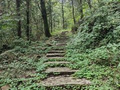 -素山寺森林公园