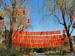 -习家池