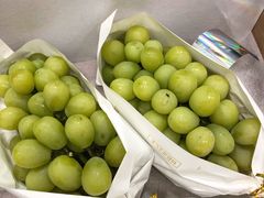 -上海龙吴水胜海发市场