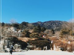 -北京西山国家森林公园