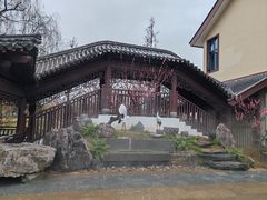 -江心屿景区