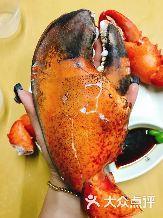 龙虾脚图片 - 第31张