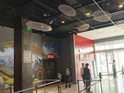 -飞览天下沉浸式飞行体验(北京旗舰店)