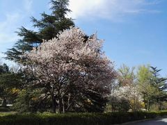 -常德桃花源景区