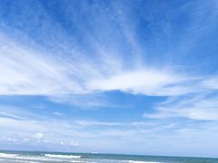-日照海滨国家森林公园