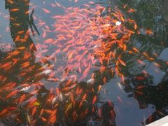 android_upload_pic-碧云寺