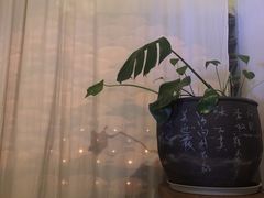 -瓦库茶馆17号(海汇港店)