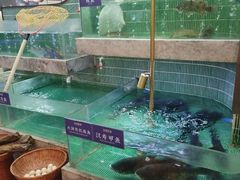 -鱼你相聚·河鲜馆(袁家岭店)