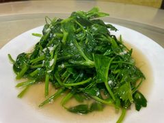 炒豌豆尖-春涛餐馆(下坝店)