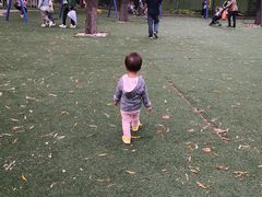 -北戴河集发农业梦想王国