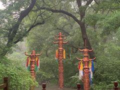 -大青沟风景区