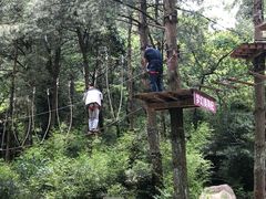 -梦幻奥陶纪景区