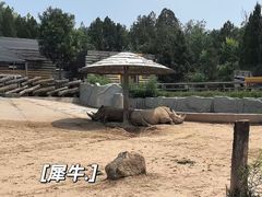 -太原动物园