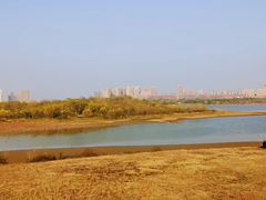 -盘龙城国家考古遗址公园