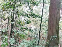 -都江堰普照寺