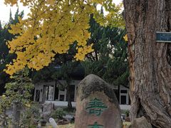 -苏州文庙(姑苏区)