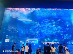 -成都浩海立方海洋公园