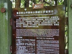 -铁山坪森林公园