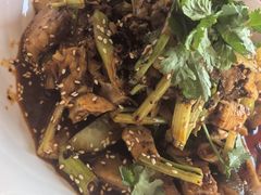 -柏合黄记豆腐皮饭店