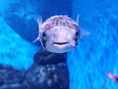 -厦门海底世界