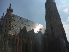 -斯蒂芬主教座堂(Stephansdom)