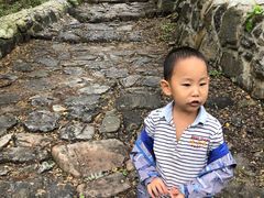 -阳台山自然风景区