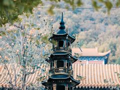-遵化市禅林寺古银杏风景园