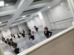 -西安小天鹅艺术团(金花路校区)