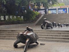 -广东惠东海龟国家级自然保护区