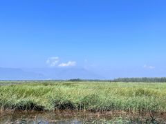 -野鸭湖国家湿地公园