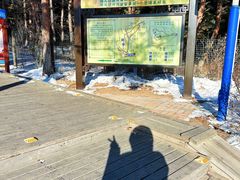 -帽儿山国家森林公园