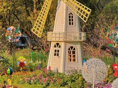 -上海共青森林公园