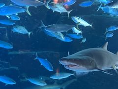 -成都浩海立方海洋公园