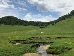 -关山草原