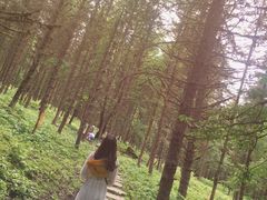 -硗碛藏寨·神木垒景区