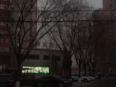-芍药居北里