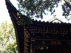 android_upload_pic-汇龙潭