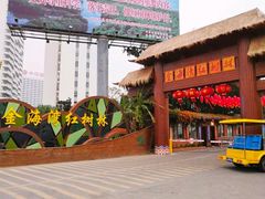 -北海金海湾红树林生态旅游区