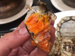 -蓝钻·国际美食海鲜自助百汇(西直门店)