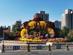 -土豆粉&刀削面(西单新一代商城店)