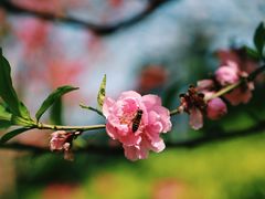 -乌山风景区